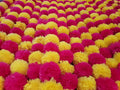 5 Pc Marigold Garland 5 Ft Long Strands of Artificial Marigold Flowers Diwali Decorations Home Indian Décor for Pooja Wedding Spring Bush Floral Faux Garland Día De Muertos Décor (Magenta+Yellow)