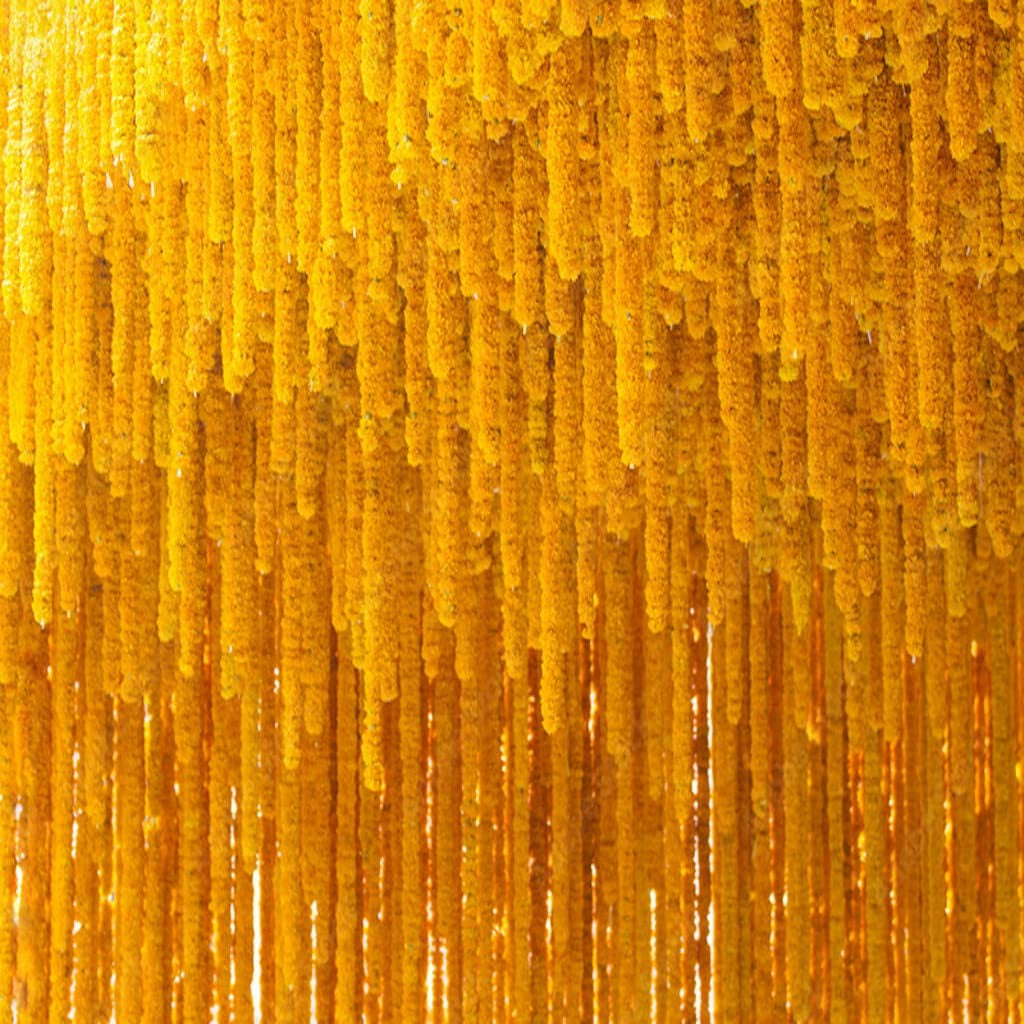 Krati Exports 5 PC - 5 Feet Marigold Garland |Indian/Americ