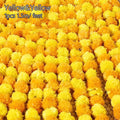 Long Strands Artificial Marigold Garland 1.5M Pooja Diwali Fiesta Pooja Marigold Flowers Indian Décor Events Decor